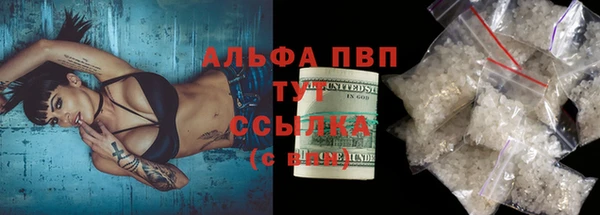 прущие грибы Инта