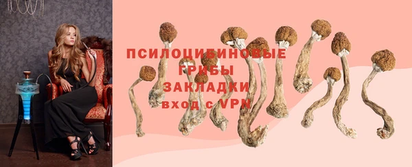 хмурый Инсар