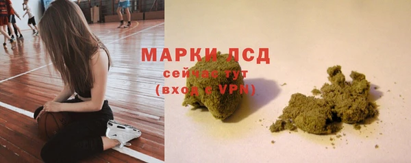 прущие грибы Инта