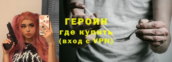 прущие грибы Инта