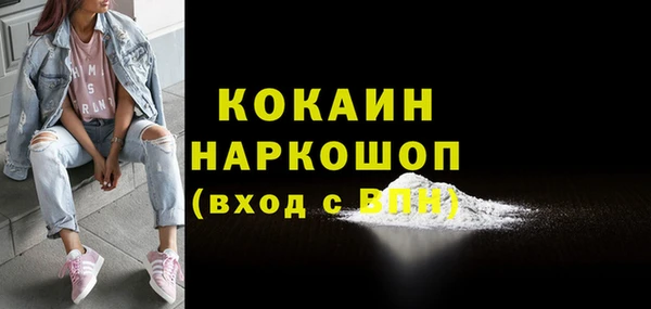 хмурый Инсар