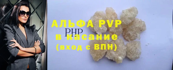 прущие грибы Инта