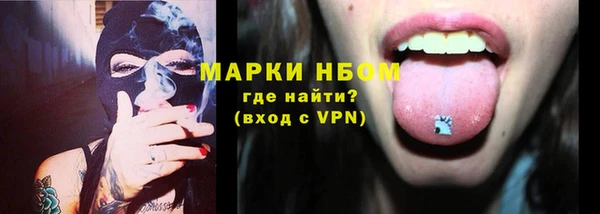 прущие грибы Инта