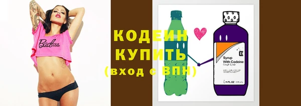 хмурый Инсар