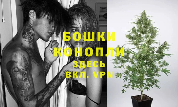 хмурый Инсар