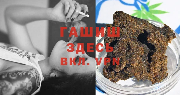 прущие грибы Инта