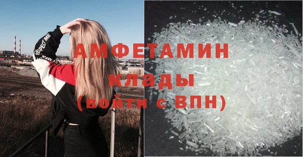 прущие грибы Инта