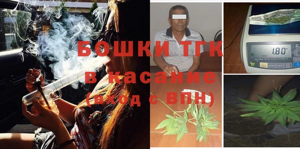 хмурый Инсар