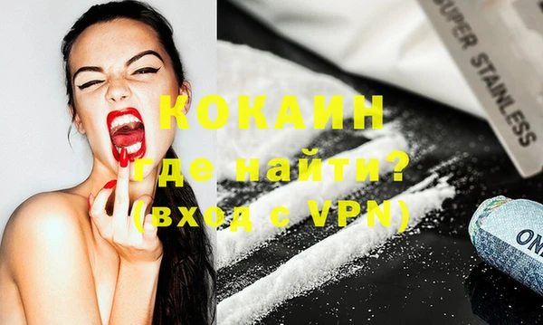 прущие грибы Инта