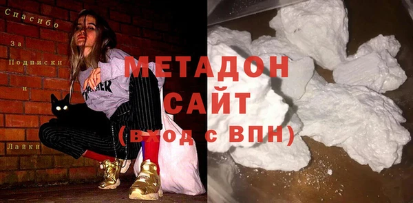 прущие грибы Инта