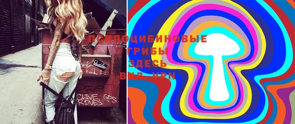 прущие грибы Инта