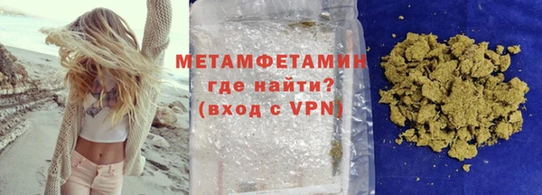 прущие грибы Инта