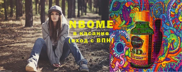 прущие грибы Инта